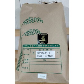 【ふるさと納税】【精米】令和5年産　佐渡産　越のかおり5kg　特別栽培米
