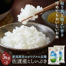 【ふるさと納税】米 佐渡産 こしいぶき ( 5kg × 2 ) | お米 こめ 白米 食品 人気 おすすめ 送料無料