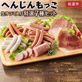 【ふるさと納税】サラミ ソーセージ ハム 7種 980g | 肉 お肉 にく 人気 おすすめ 送料無料 ギフト 詰め合わせ セット ウィンナー ウインナー 生ハム 豚肉 食べ比べ へんじんもっこ