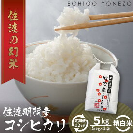 【ふるさと納税】[定期便] 羽茂産コシヒカリ 白米 5kg 12カ月 | お米 こめ 白米 食品 人気 おすすめ 送料無料