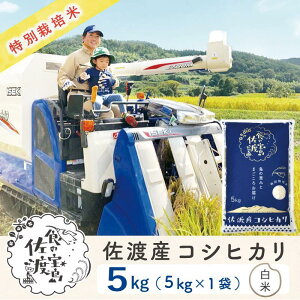yӂ邳Ɣ[ŁznYRVqJ 5Kg×1 ʍ͔| ߘa6NY hxXgt@[}[F؎ܗh |    Hi lC  