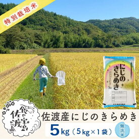 【ふるさと納税】【新米予約】佐渡島産にじのきらめき 無洗米5Kg 令和7年 特別栽培米 農家直送 | お米 こめ 白米 食品 人気 おすすめ 送料無料