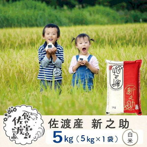 yӂ邳Ɣ[ŁzyVė\znY VV 5kg×1 |    Hi lC  