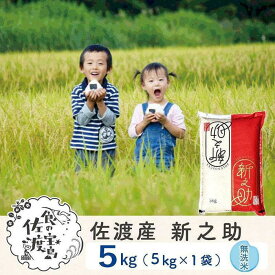 【ふるさと納税】佐渡島産 新之助 無洗米5kg×1袋 | お米 こめ 白米 食品 人気 おすすめ 送料無料