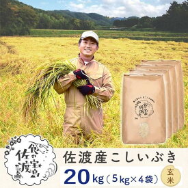 【ふるさと納税】佐渡島産 こしいぶき 玄米20kg(5kg×4袋）【令和5年産】～農薬5割減～ | お米 玄米 こめ 食品 人気 おすすめ 送料無料