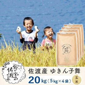 【ふるさと納税】佐渡島産 ゆきん子舞 玄米20kg(5kg×4袋)【令和5年産】 | お米 玄米 こめ 食品 人気 おすすめ 送料無料