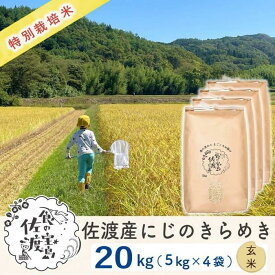 【ふるさと納税】佐渡島産 にじのきらめき 玄米20kg(5kg×4袋)【令和5年産】特別栽培米 | お米 玄米 こめ 食品 人気 おすすめ 送料無料