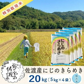 【ふるさと納税】佐渡島産 にじのきらめき 無洗米20kg (5kg×4袋）【令和5年産】特別栽培米 | お米 こめ 白米 食品 人気 おすすめ 送料無料