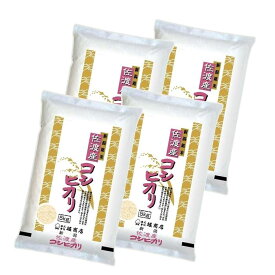 【ふるさと納税】【定期便】佐渡産コシヒカリ5kg×4本セット×3回 | お米 こめ 白米 食品 人気 おすすめ 送料無料