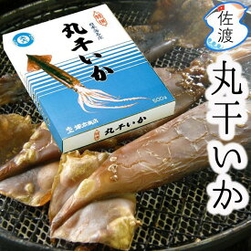 【ふるさと納税】佐渡島産 丸干しいか 500g 朝獲れ 【冷凍便】 | 魚 お魚 さかな 食品 人気 おすすめ 送料無料