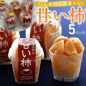 【ふるさと納税】甘い柿　5パック／8パック