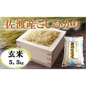 【ふるさと納税】佐渡産こしひかり 玄米 5.5kg | お米 こめ 白米 食品 人気 おすすめ 送料無料