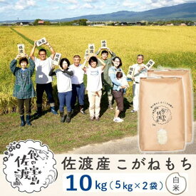 【ふるさと納税】【新米】佐渡島産 こがねもち もち精米 5Kg×2袋 | お米 こめ 餅米 食品 人気 おすすめ 送料無料
