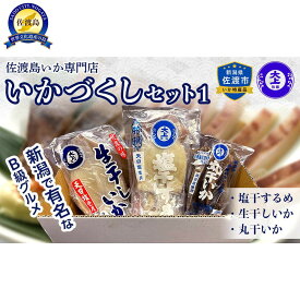 【ふるさと納税】干物 イカ 佐渡沖産 3種 いかづくしセット1 佐渡島いか専門店 | 魚 お魚 さかな 食品 人気 おすすめ 送料無料