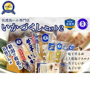 【ふるさと納税】佐渡島いか専門店 いかづくしセット2