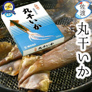 【ふるさと納税】佐渡島産 丸干しいか 500g 朝獲れ 【冷凍便】 | 魚 お魚 さかな 食品 人気 おすすめ 送料無料