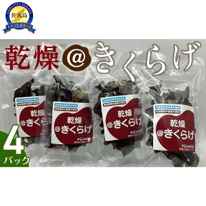 yӂ邳Ɣ[Łz炰@4pbN