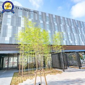 【ふるさと納税】世界遺産【佐渡島】たびのホテル佐渡・長期滞在ホテルLive佐渡共通　宿泊補助券【45,000円分】電話予約のみ対象です。