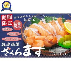 yӂ邳Ɣ[Łzys\2026N4zyԌznJ܂@1܂邲ƔI |    Hi lC  