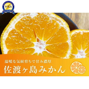 yӂ邳Ɣ[Łzn݂i3S`2LTCYj5kg | t[c ʕ  Hi lC  