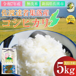 yӂ邳Ɣ[ŁzyVnzBҏWYRVqJʌEYn聄 ߘa7NY āyāz5kg  |    Hi lC  