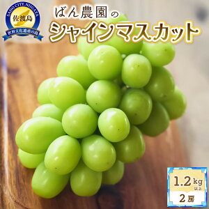 yӂ邳Ɣ[Łzy2026N9zVC}XJbg2[1.2Kgȏ@nY | t[c ʕ  Hi lC  