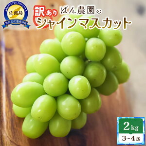 yӂ邳Ɣ[Łzy󂠂zVC}XJbg2kg@3`4[@nY@ | t[c ʕ  Hi lC  