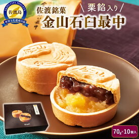 【ふるさと納税】金山石臼最中10個入り
