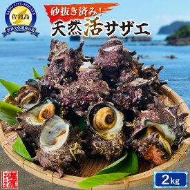 【ふるさと納税】佐渡産 天然活サザエ 2kg | 魚介類 水産 食品 人気 おすすめ 送料無料
