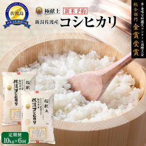 yӂ邳Ɣ[ŁzyVāEs\z10kg VnYRVqJ10kg(5kg×2)×6u6Jցv |    Hi lC  
