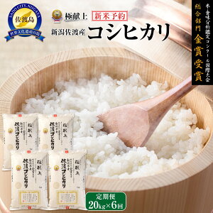yӂ邳Ɣ[ŁzyVāEs\z20kg VnYRVqJ20kg(5kg×4)×6u6Jցv |    Hi lC  