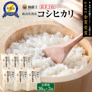 yӂ邳Ɣ[ŁzyVāEs\z30kg VnYRVqJ30kg(5kg×6)×3u3Jցv |    Hi lC  