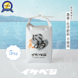 【ふるさと納税】新潟県佐渡産 令和7年産 【にこまる】 白米 5kg