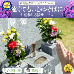 yӂ邳Ɣ[ŁzyVnzn@QvAN4@T[rX@qEԑւEȈՐ|E^NV[}i5,000~܂ŔN1tj@uĂAS͂΂Ɂv