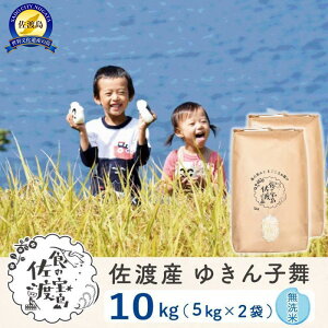 yӂ邳Ɣ[ŁzyVė\znY䂫q 10Kg ߘa7N `_5` |    Hi lC  