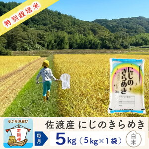 yӂ邳Ɣ[ŁzyVė\ 6ցznYɂ̂߂ 5Kg ߘa7N ʍ͔| _ƒ |    Hi lC  