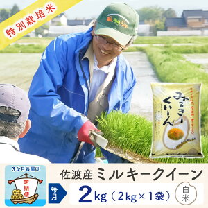 【ふるさと納税】【新米予約 3か月定期便】佐渡島産ミルキークイーン 白米2Kg 令和7年 特別栽培米