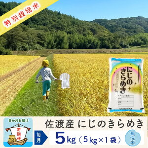 yӂ邳Ɣ[ŁzyVė\ 9ցznYɂ̂߂ 5Kg ߘa7N ʍ͔| _ƒ |    Hi lC  