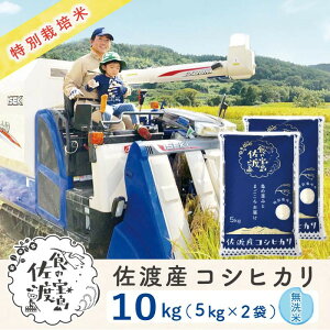 yӂ邳Ɣ[ŁzyVė\znYRVqJ 10kgi5kg×2܁j ʍ͔| _ƒ |    Hi lC  