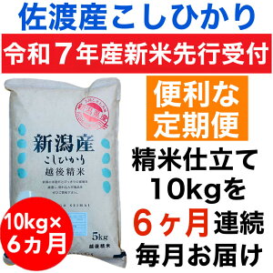 yӂ邳Ɣ[Łzyߘa7NxYVāE֗\znYRVqJ 10kg()@S6 |    Hi lC  