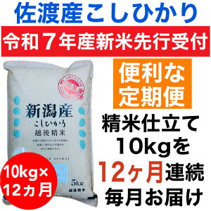 yӂ邳Ɣ[Łzyߘa7NxYVāE֗\znYRVqJ 10kg()@S12 |    Hi lC  