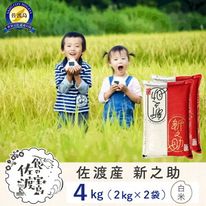 yӂ邳Ɣ[ŁzyVė\znY VV 4kgi2Kg×2܁j