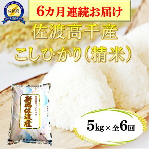 yӂ邳Ɣ[ŁzyցznYYЂ 5kgy6A͂z |   Hi lC  