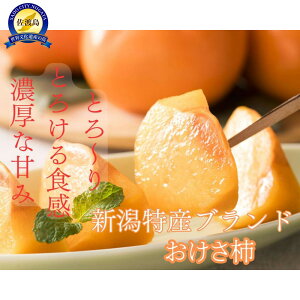 yӂ邳Ɣ[Łzypzn̏H𑡂₳ꔠB`yGizM`LTCYi7.5kg^M40ʁEL36ʁjp܂ | t[c ʕ  Hi lC  