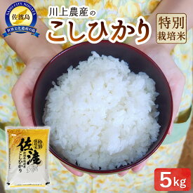 【ふるさと納税】令和7年産 佐渡 川上農産のコシヒカリ（5kg） | お米 こめ 白米 食品 人気 おすすめ 送料無料