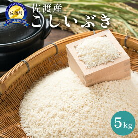 【ふるさと納税】佐渡島産　こしいぶき　5kg　令和7年産 | お米 こめ 白米 食品 人気 おすすめ 送料無料