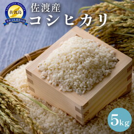 【ふるさと納税】佐渡島産　コシヒカリ　5kg　令和7年産 | お米 こめ 白米 食品 人気 おすすめ 送料無料