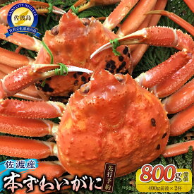 【ふるさと納税】【先行予約】【令和8年1月中旬以降発送】佐渡産 本ずわいがに 800g前後（400g前後×2杯） | 蟹 魚介類 水産 食品 人気 おすすめ 送料無料