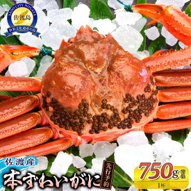 【ふるさと納税】【先行予約】【令和8年1月中旬以降発送】佐渡産 本ずわいがに 750g前後 1杯 | 蟹 魚介類 水産 食品 人気 おすすめ 送料無料