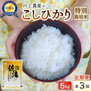 【ふるさと納税】令和7年産 佐渡 川上農産のコシヒカリ 定期便(5kg×全3回) | お米 こめ 白米 食品 人気 おすすめ